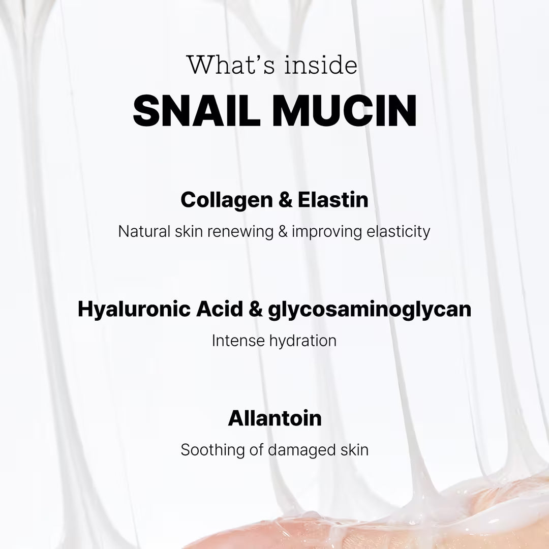 All About Snail Kit