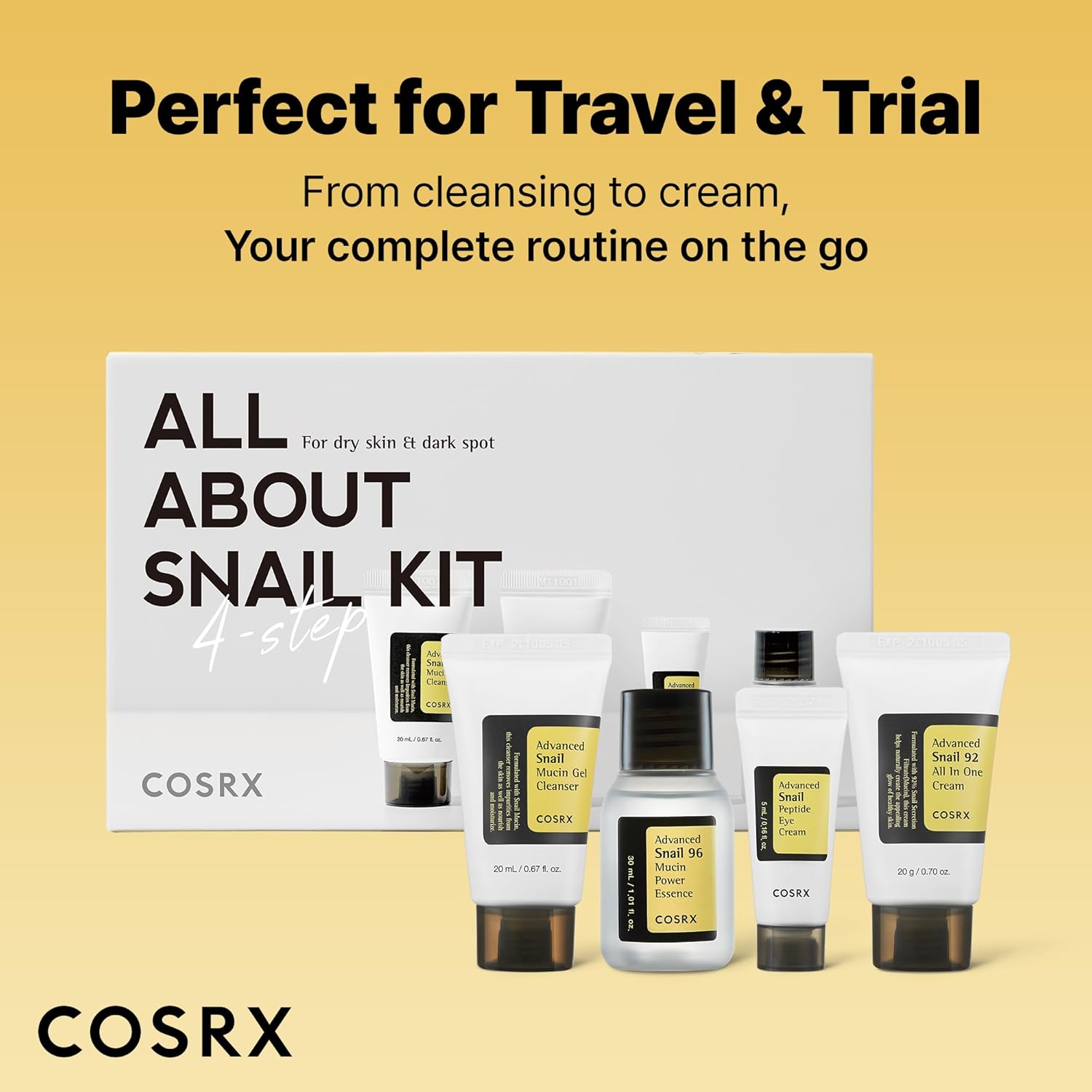 All About Snail Kit