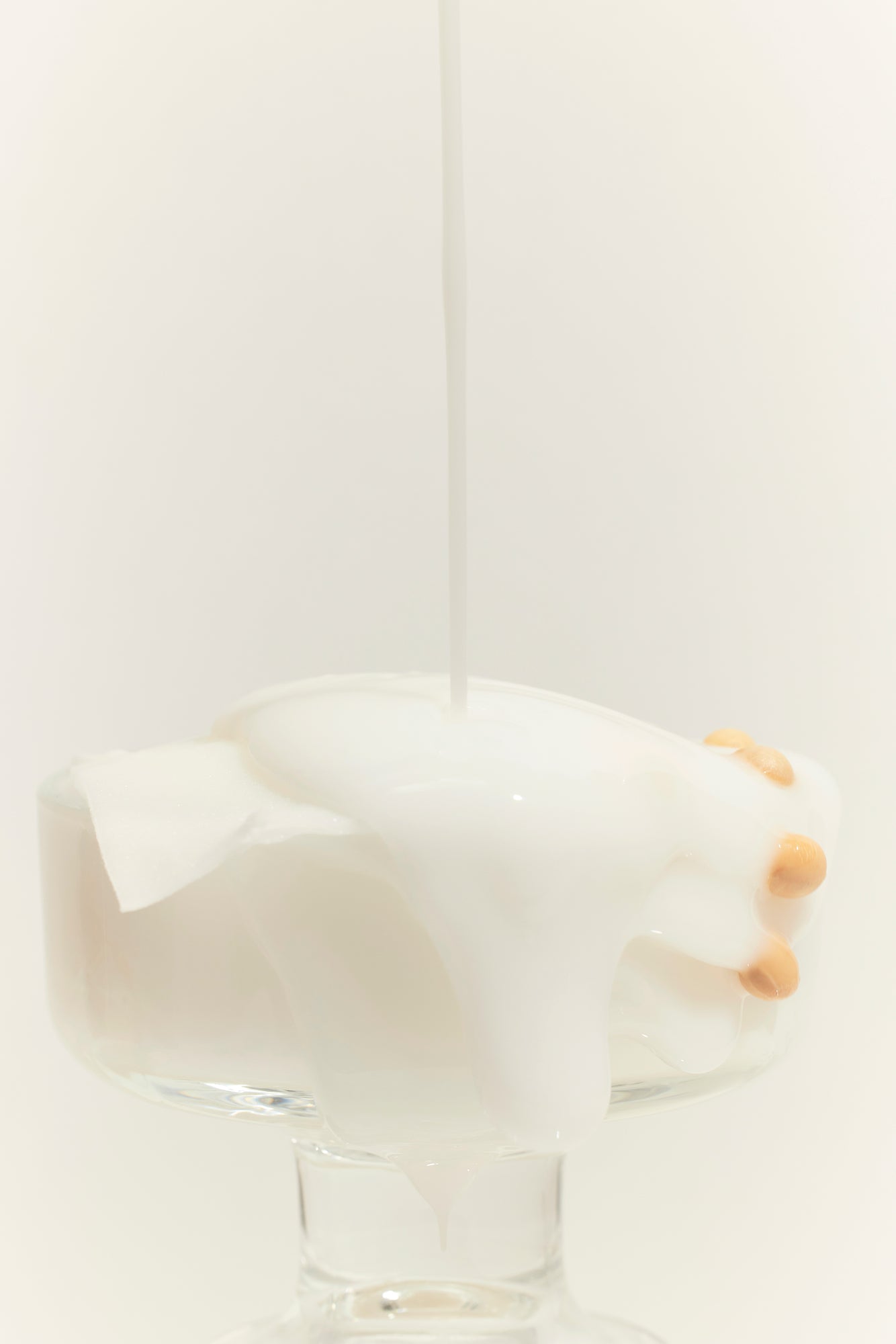 Soybean Milk Pad (10ea)