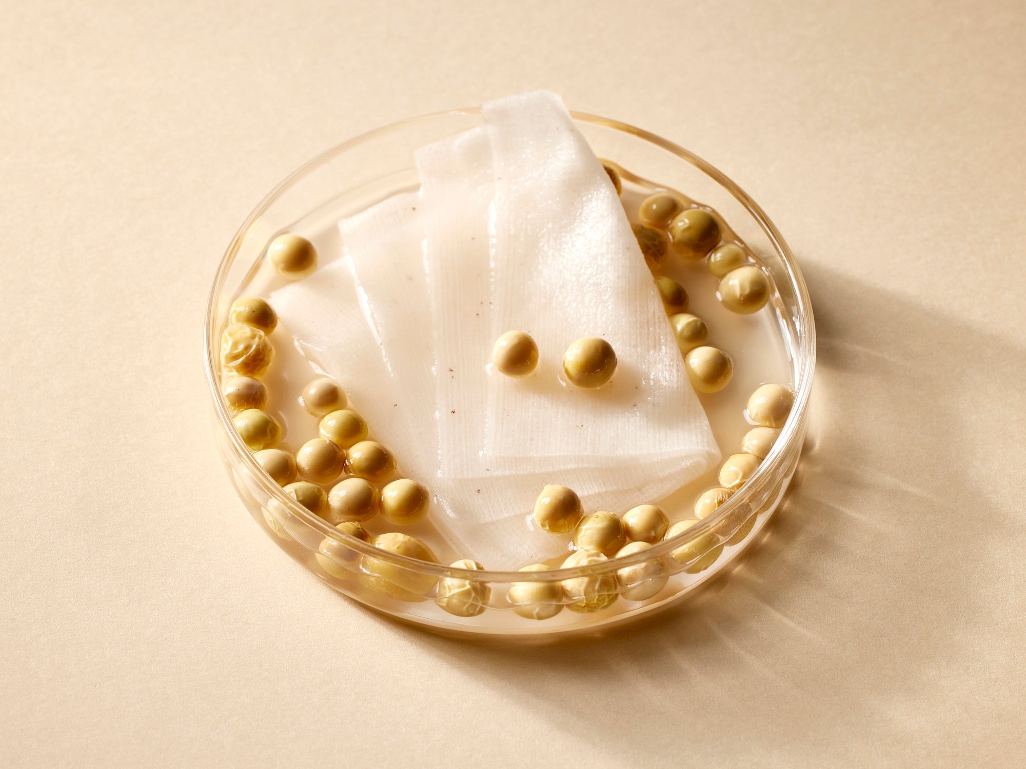 Bean Toner Pad